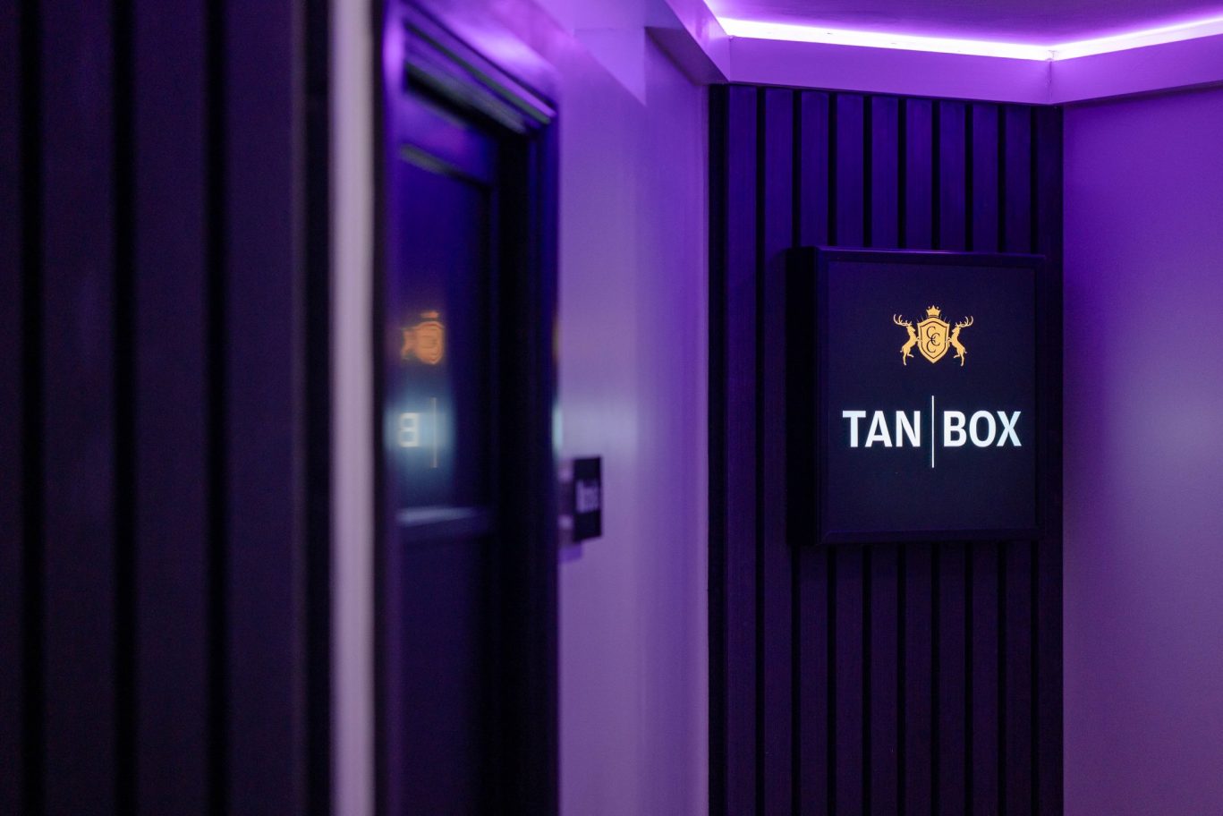 tan-box